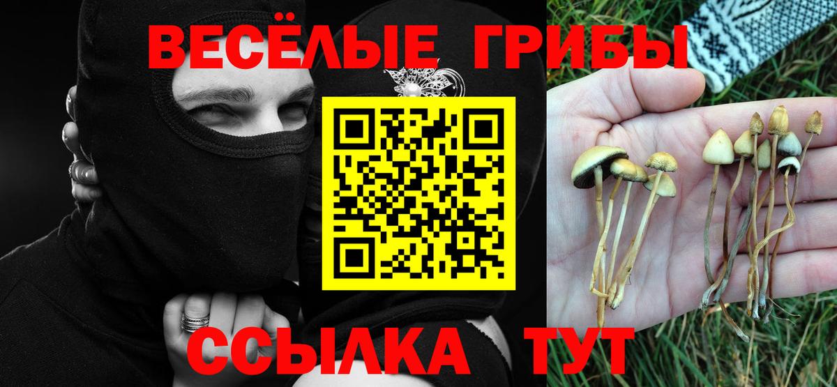 Псилоцибиновые грибы GOLDEN TEACHER Ливны